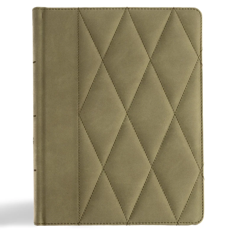 CSB Notetaking Bible, Large Print Edition, Sage Suedesoft LeatherTouch