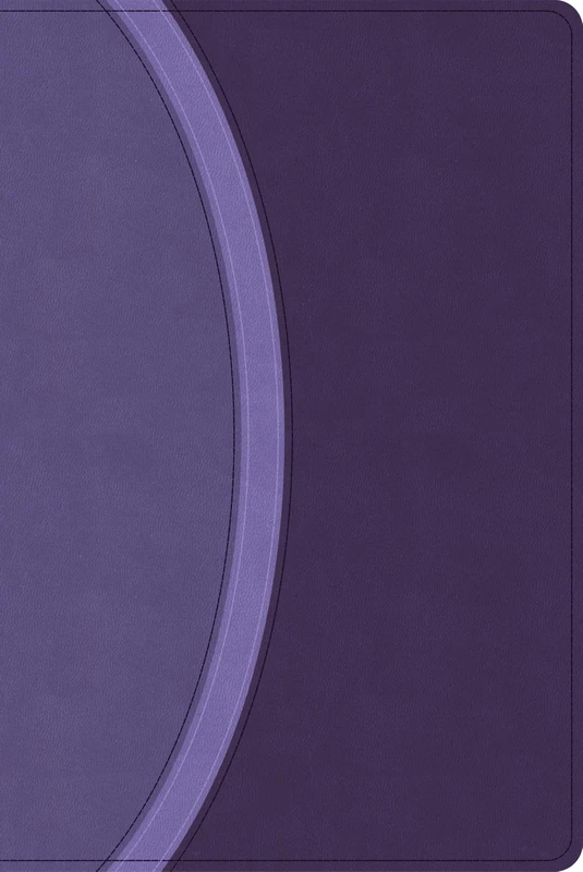 CSB Rainbow Study Bible, Purple LeatherTouch (Limited Edition)