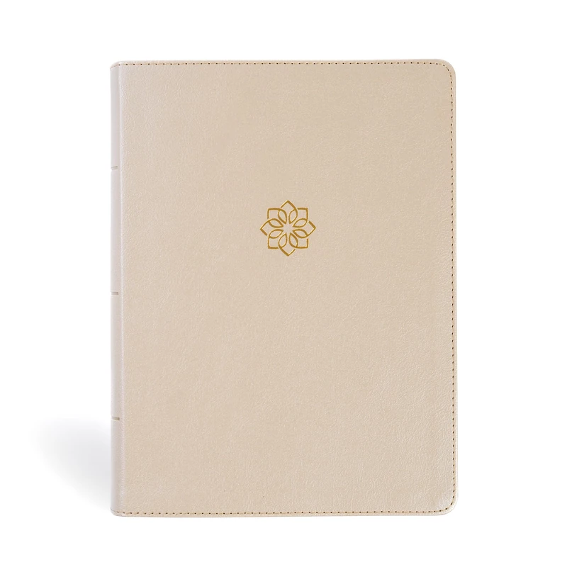 CSB Study Bible, Large Print Edition, Gold LeatherTouch
