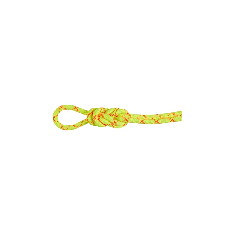 Mammut 9.5 Alpine Core Protect Dry Rope 50m 50 m