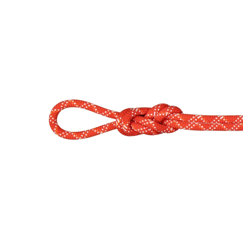 Mammut 9.5 Gym Classic Rope | Climbing Equipment, Robust and Durable | 40 m, Raspberry-White