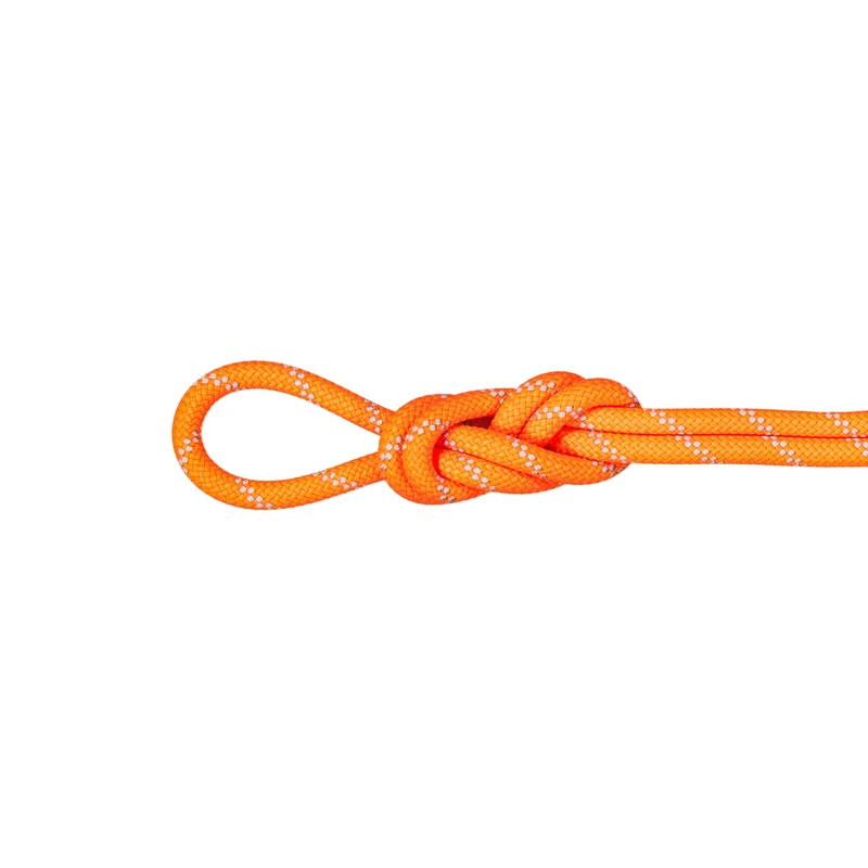 Mammut 9.5 Alpine Dry Rope 50m 50 m