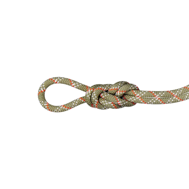 Mammut 9.5 Gym Classic Rope | Climbing Equipment, Robust & Durable | 40 m, Boa-White