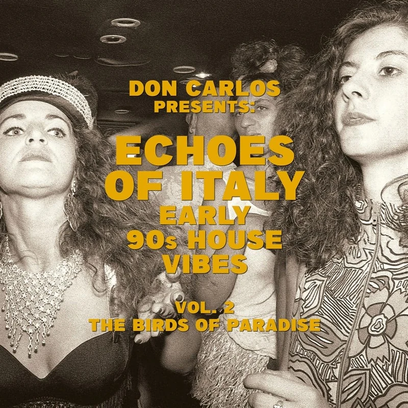 Echoes Of Italy - Early 90s House Vibes Vol. 2: The Birds Of Paradise [VINYL] - Image 1