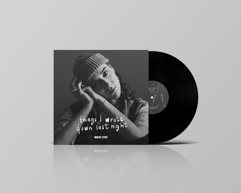 Things I Wrote Down Last Night (Lp) [VINYL]