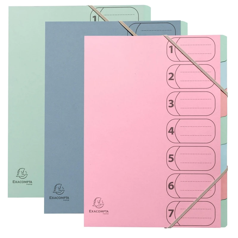 Exacompta - Ref 56239E - Box of 8 HARMONIKA Autentik File Boxes - with Elastic Bands and Printed Windows - Expandable Spine - Recycled Card Cover - 7 compartments - A4 - Assorted Colours