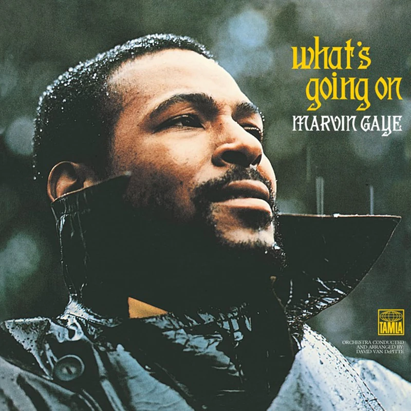 What'S Going on (Ltd. Edt.) [VINYL]