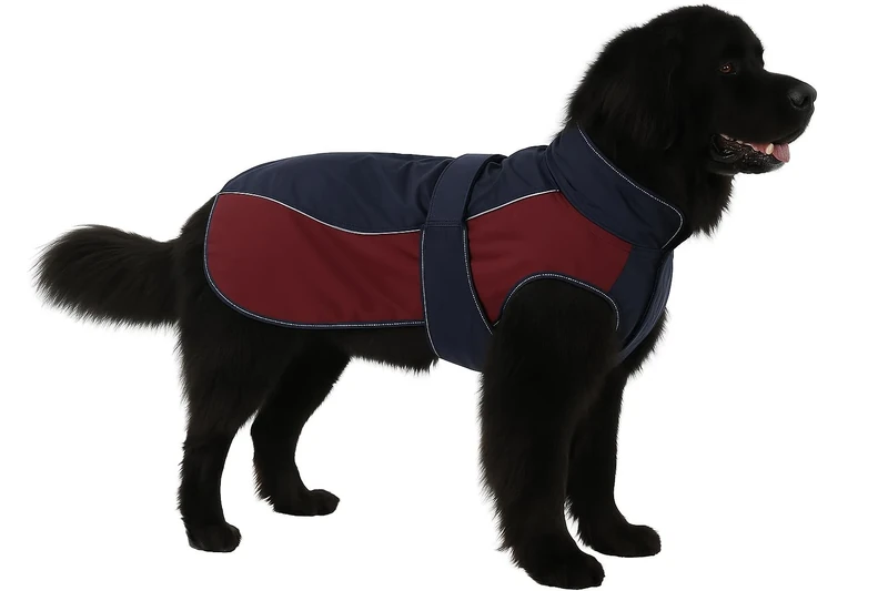 Flamingo WINTER COAT EISBERG DARK BLUE/BURGUNDY 75CM