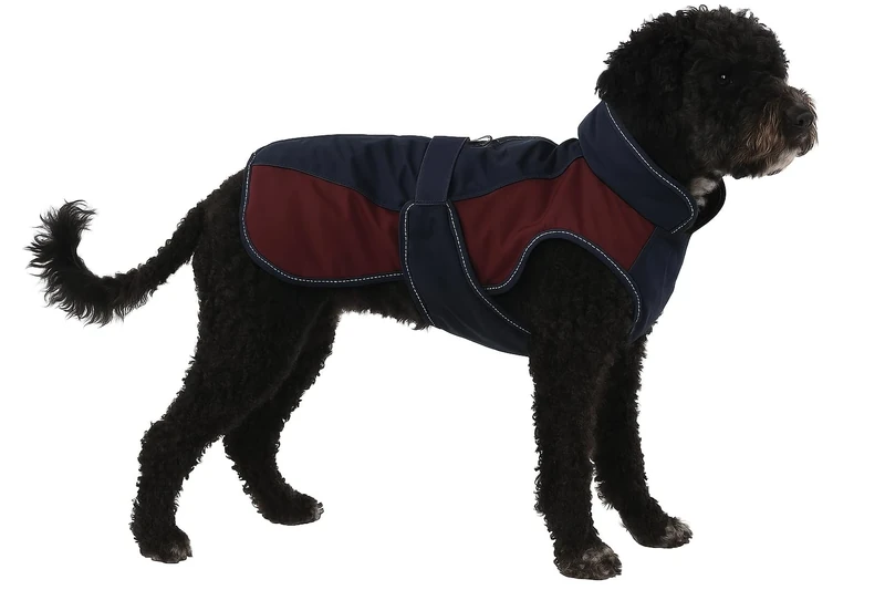 Flamingo WINTER COAT EISBERG DARK BLUE/BURGUNDY 55CM