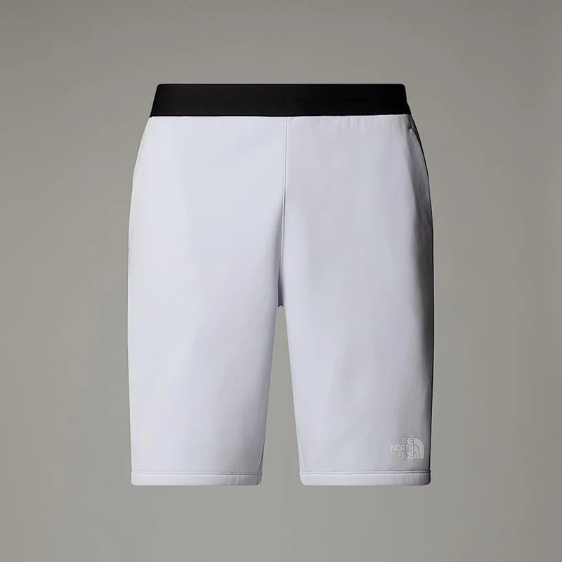 The North Face Men's Mountain Fleece Reg Shorts, Mystic Haze, XL - Image 1