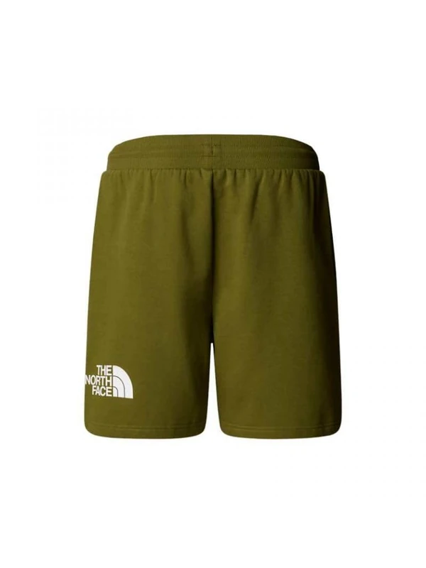 The North Face Men's Easy Regular Reg Shorts, Forest Olive, L