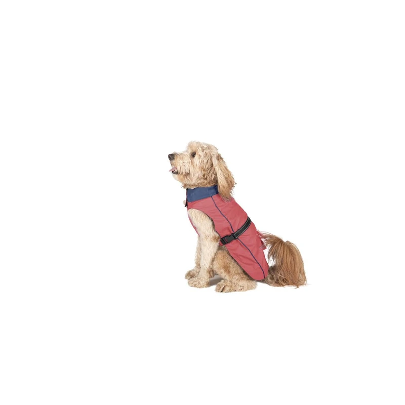 Dog Gone Smart Coral Dog Raincoat 45 cm - Brand: Dog Gone Smart - EAN: 0849670023564