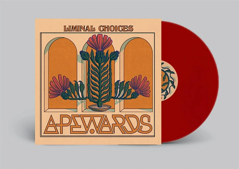 Liminal Choices [VINYL]