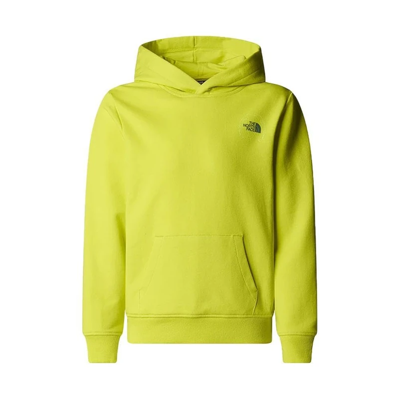 The North Face Boy's Graphic Relaxed Hooded Sweatshirt, Sulphur Spring Green, 7/8 Years