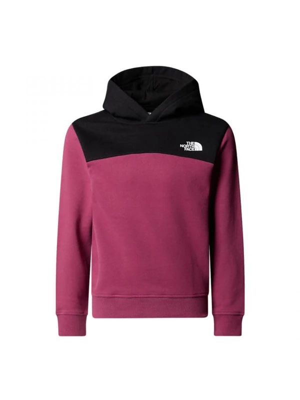 The North Face Girl's Back Logo Relaxed Hooded Sweatshirt, Cyber Berry, 10 Years