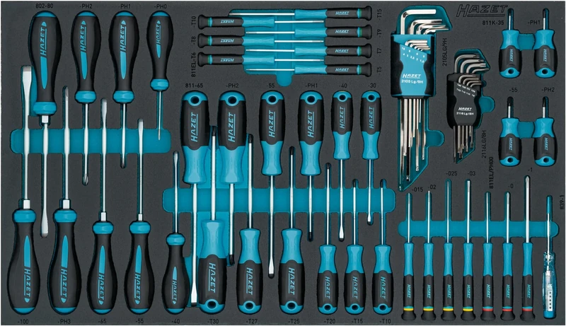 HAZET Screwdriver Set 163-480/57N 57 Pieces PH00-PH3 T5-T40 Slotted Phillips Inner Hex Inner Torx Profile Includes Allen Screwdriver Set and Phase Tester