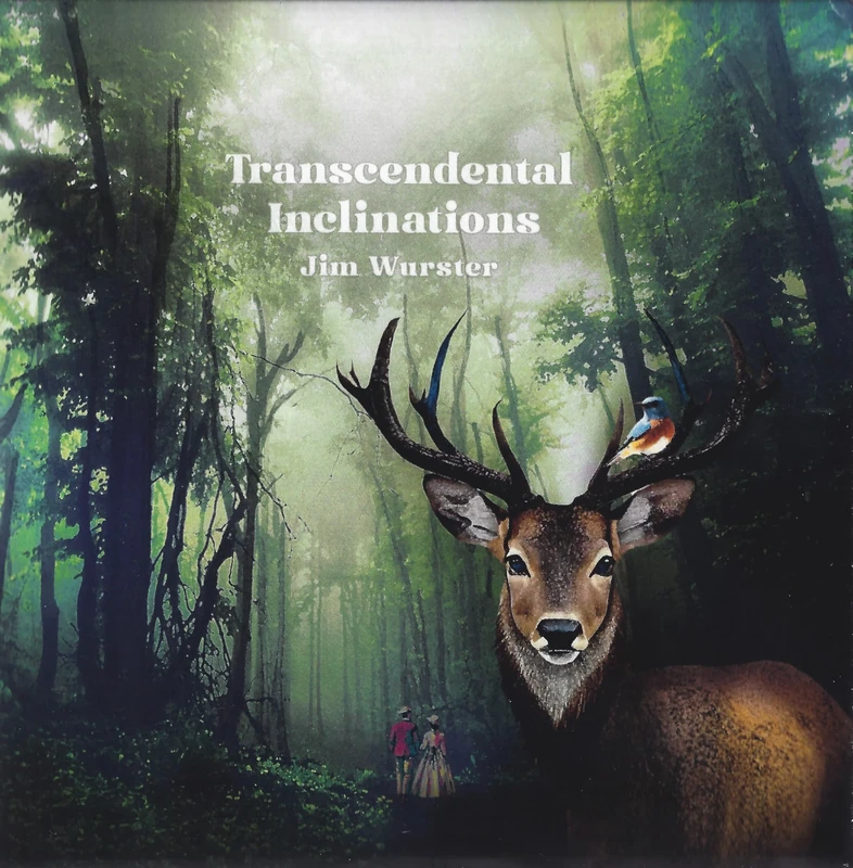 Transcendental Inclinations [Vinyl LP] [VINYL]
