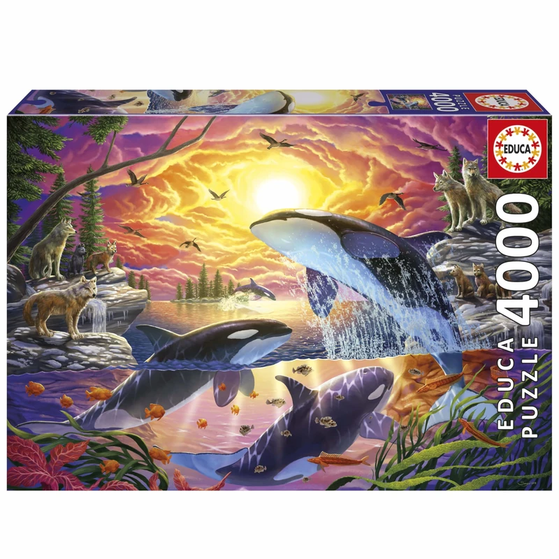 Educa - 4000 Orcas and Wolves Premium Adult Jigsaw Puzzle | Beautiful Wildlife Nature Scene | Size 136 x 96 cm | Ages 14+ (20259)
