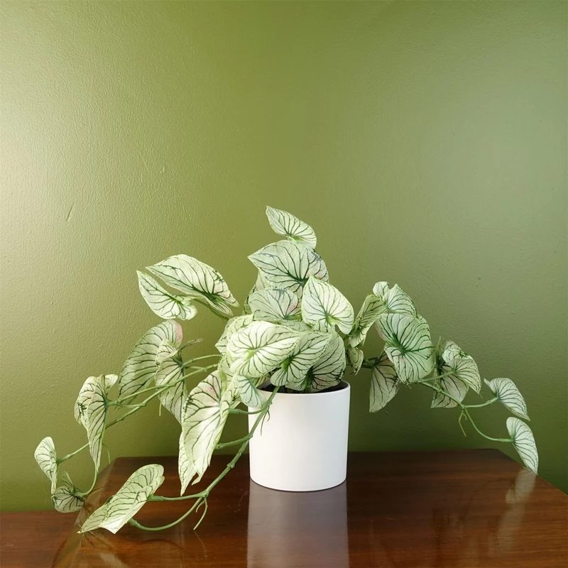 Botanik 30cm Artificial Trailing Plant Realistic Variegated Potted Alocasia