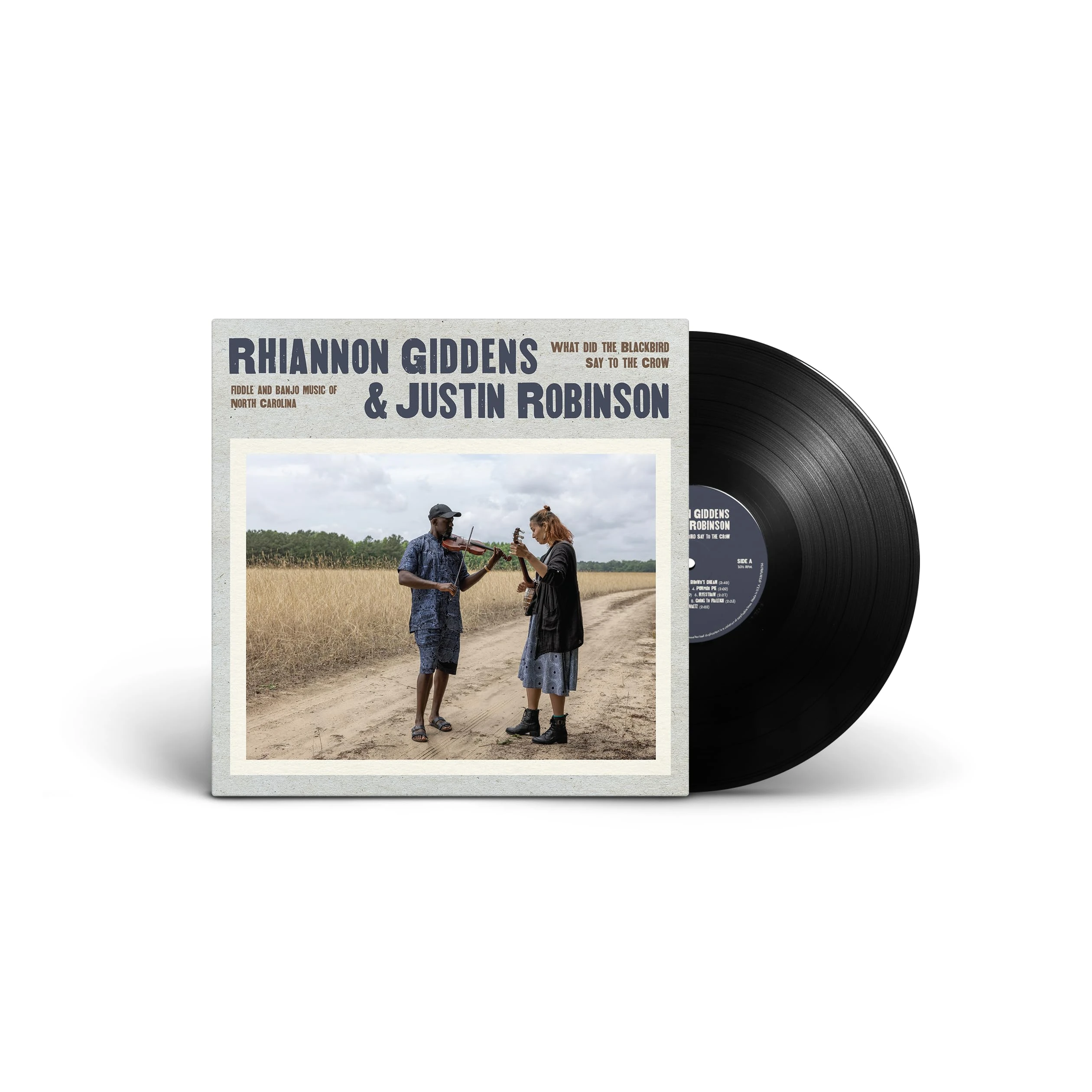 What Did the Blackbird Say to the Crow [VINYL]