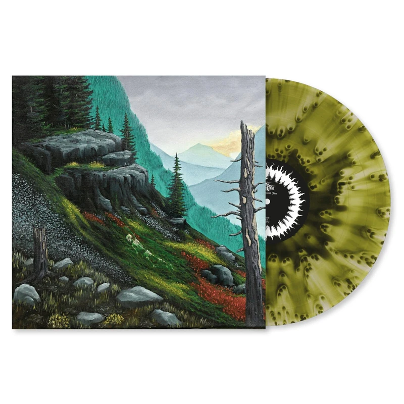 A Distant Fire [VINYL]