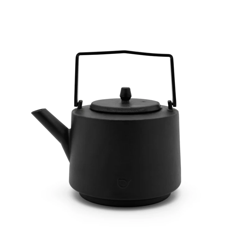 Bredemeijer Cast Iron Teapot Induction 1.2 litres Large Cast Iron Enamelled Jug with Stainless Steel Tea Filter and Square Handle
