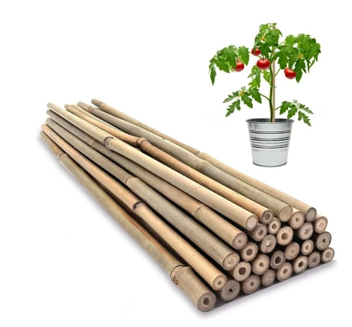 Eyesome Strong Heavy Duty Professional Bamboo Canes for Plant Support - Multiple Lengths 2ft - 3ft Garden Stakes, Durable Large Garden Canes Sturdy & Natural Bamboo Sticks (10 x 3ft / 90cm)