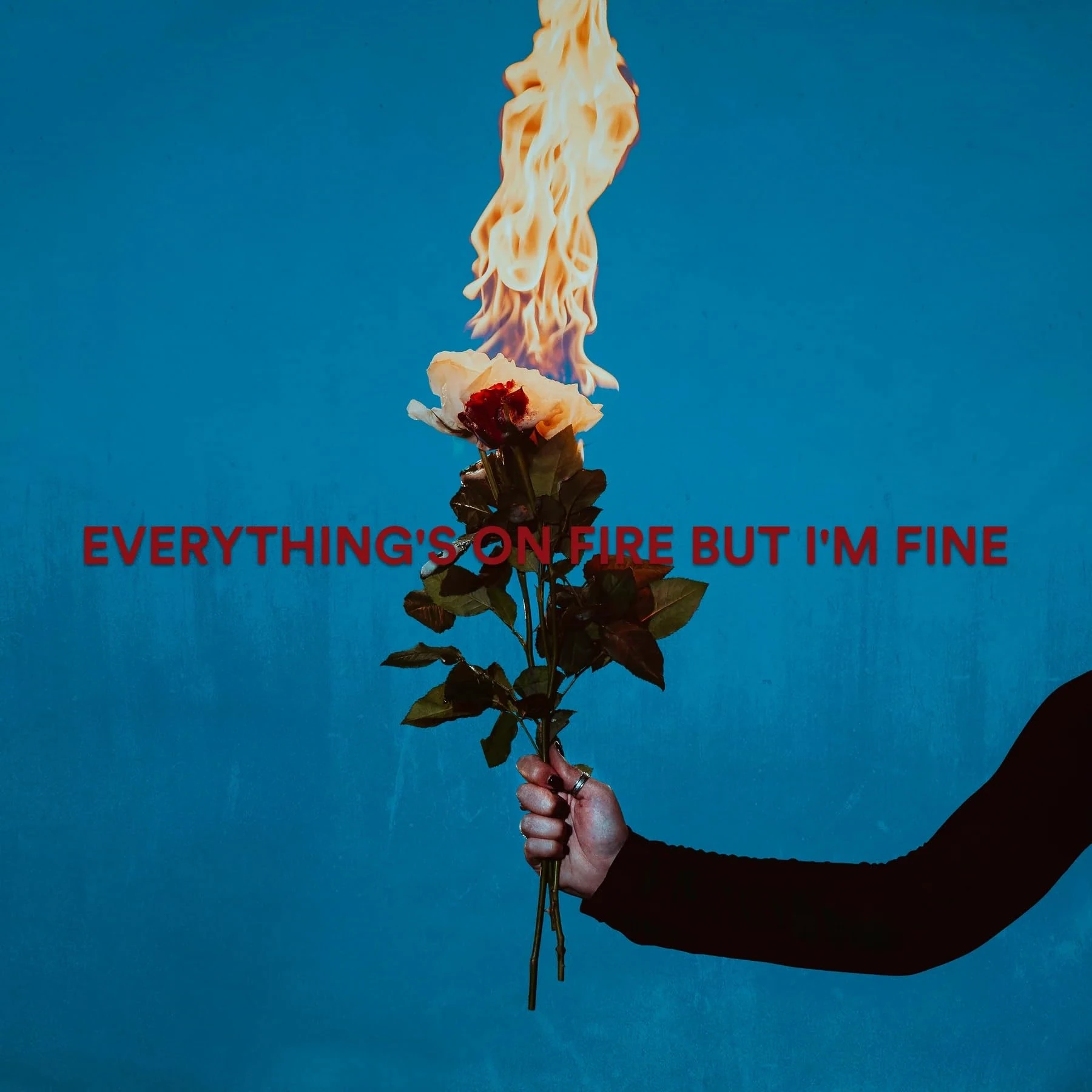 Everything's On Fire But I'm Fine [VINYL]