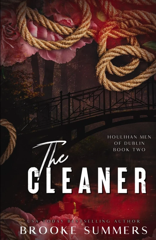 The Cleaner (Houlihan Men of Dublin)