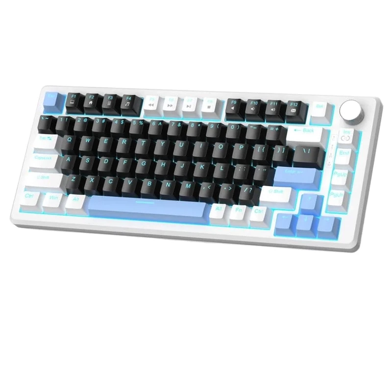 PAQtnR Compact 75% Mechanical Gaming Keyboard With Knob Control Blue Backlit Wired Design Black And Brown Switches Compatible With PC Windows(Black Switch)