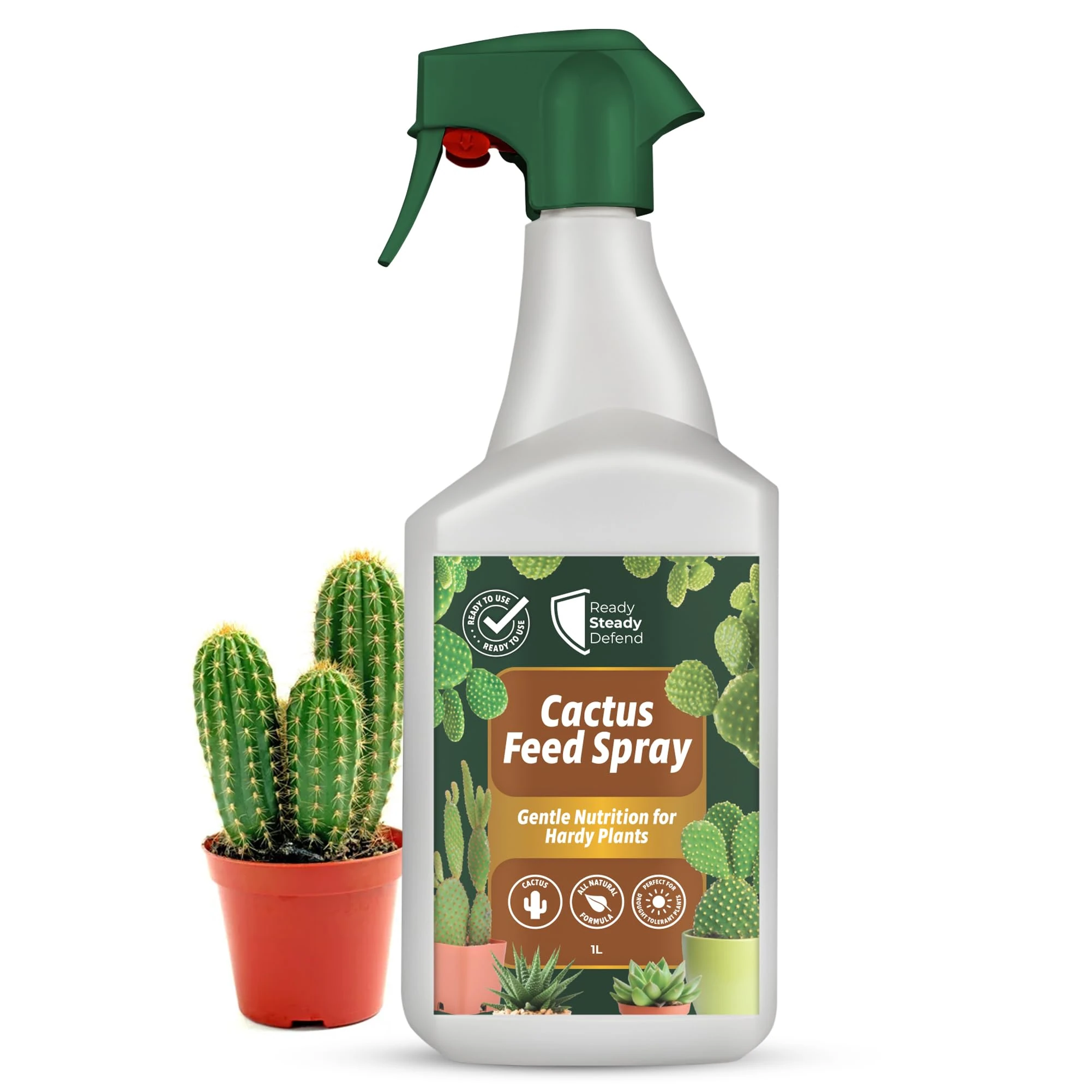 Cactus Feed Spray 1L - Natural Cactus Fertiliser for Healthy Growth | Succulent Plant Food for Indoor & Outdoor | All-Natural Cactus Food with Seaweed Extract | Perfect for Cacti & Succulent Care