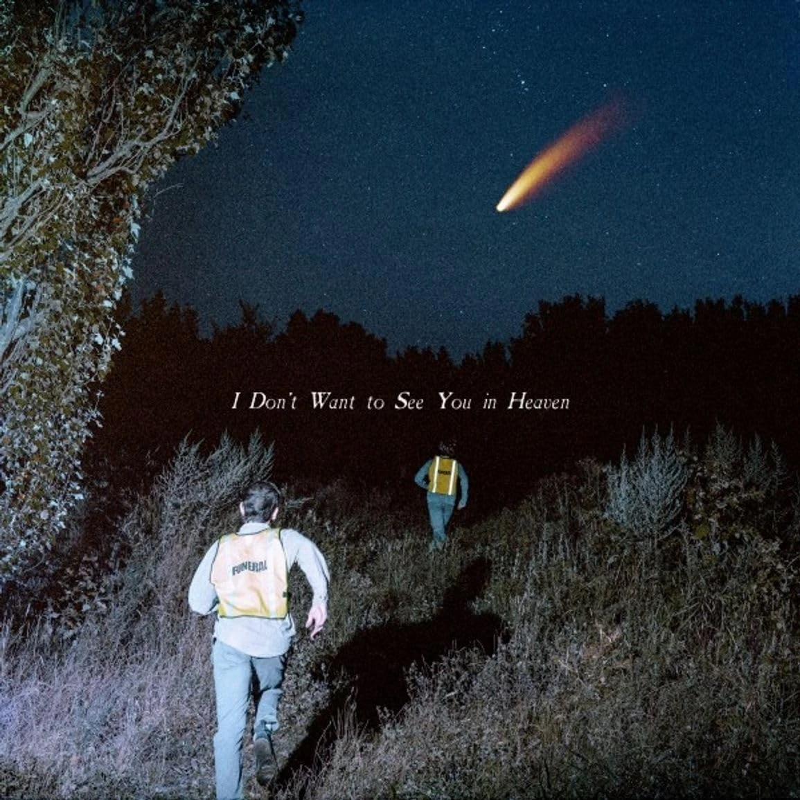 I DON'T WANT TO SEE YOU IN HEAVEN (2LP SEATTLE VINYL) [VINYL]