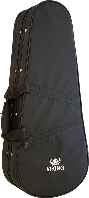 Oblong Foam Mandolin Case - Image 1