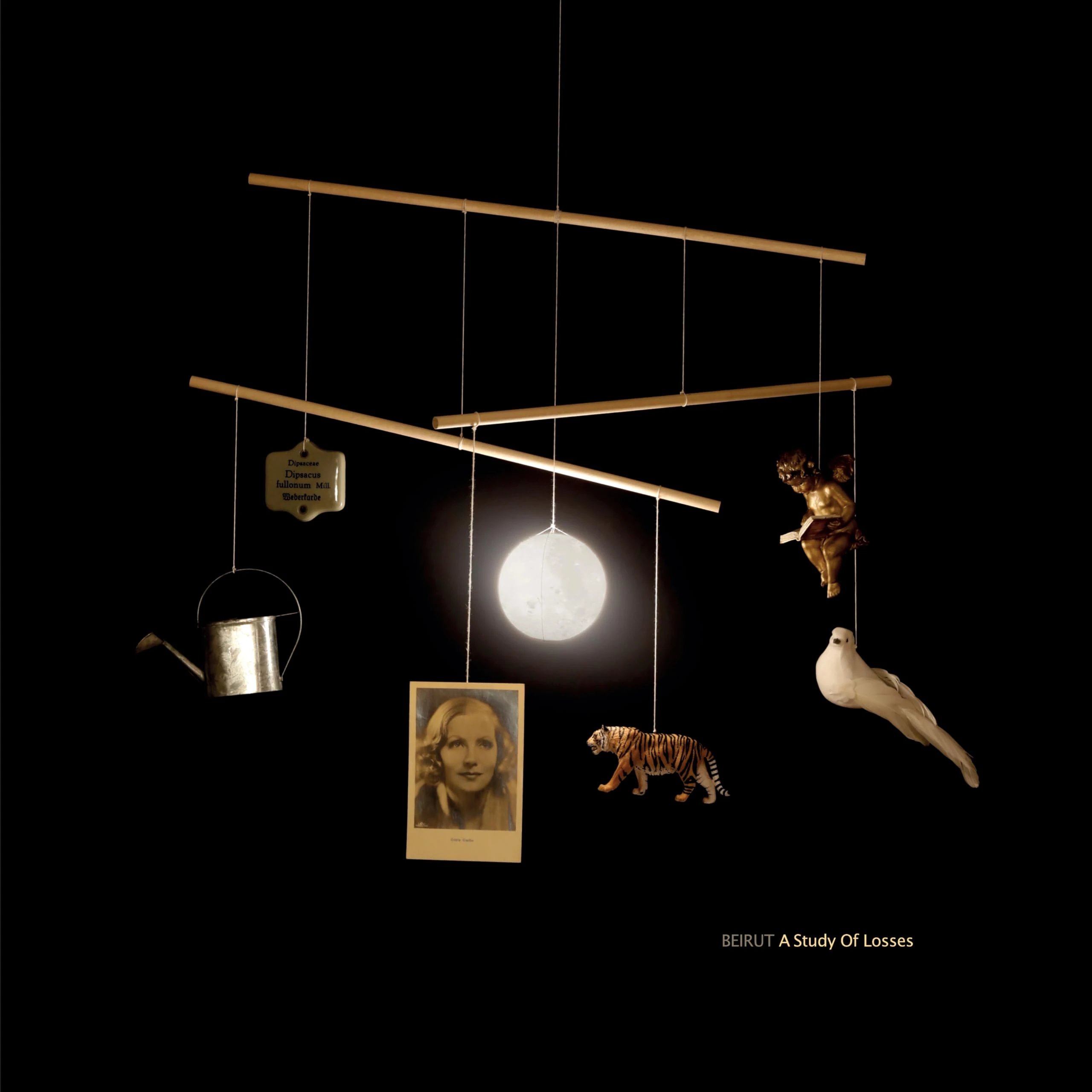 A Study of Losses [VINYL]