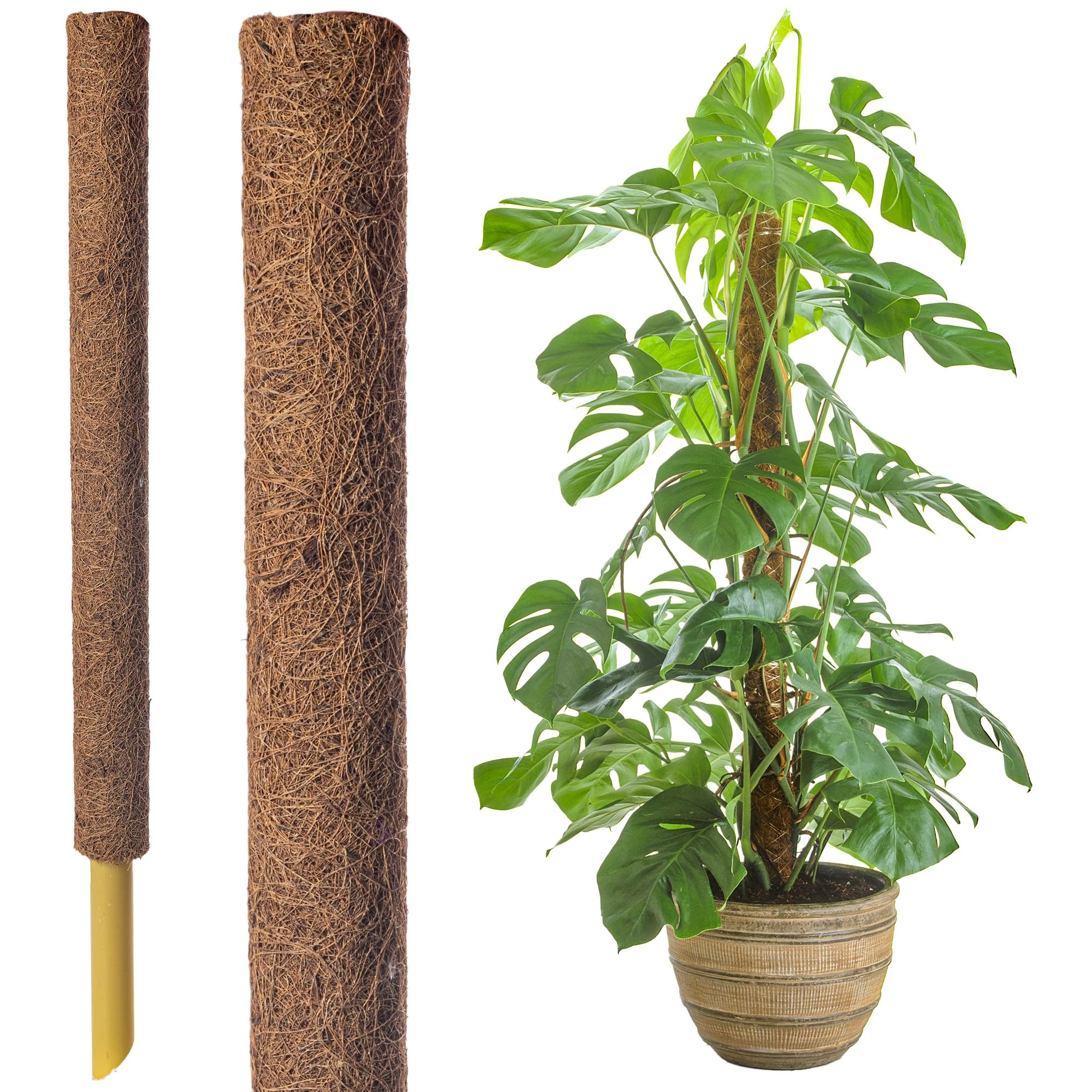 45cm Coir Moss Pole for Climbing Plants – Extendable Plant Support Stake for Monstera, Pothos & Indoor Houseplants – Natural Coco Coir Totem Pole for Stronger Growth (5 x 45cm Mosspoles)