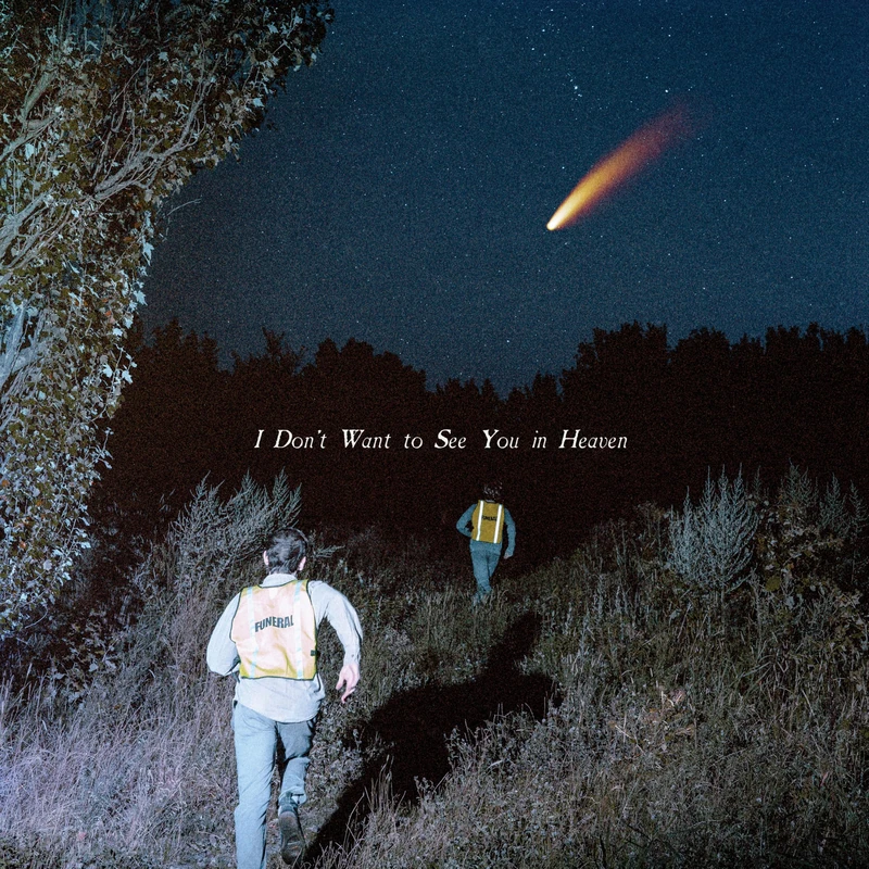 I Don't Want to See You in Heaven - Blue/Beige [Vinyl LP] [VINYL]