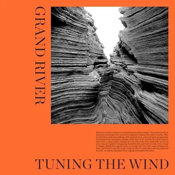 Tuning The Wind [Vinyl LP] [VINYL]
