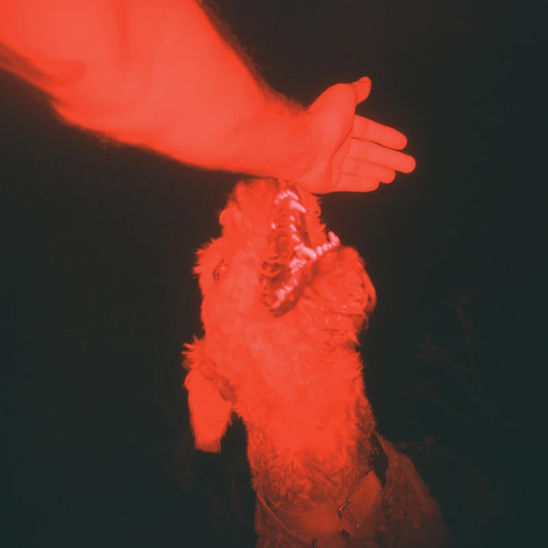 A Trick Of The Light ('Optical Illusion' Transparent Red Vinyl)