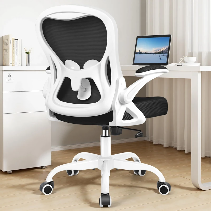 KERDOM Office Chair Ergonomic Desk Chair with Adjustable Lumbar Support, Swivel Chairs with Flip-up Armrest and Thickened Cushion, Height Adjustable Computer Chairs for Home Office, 120° Reclining