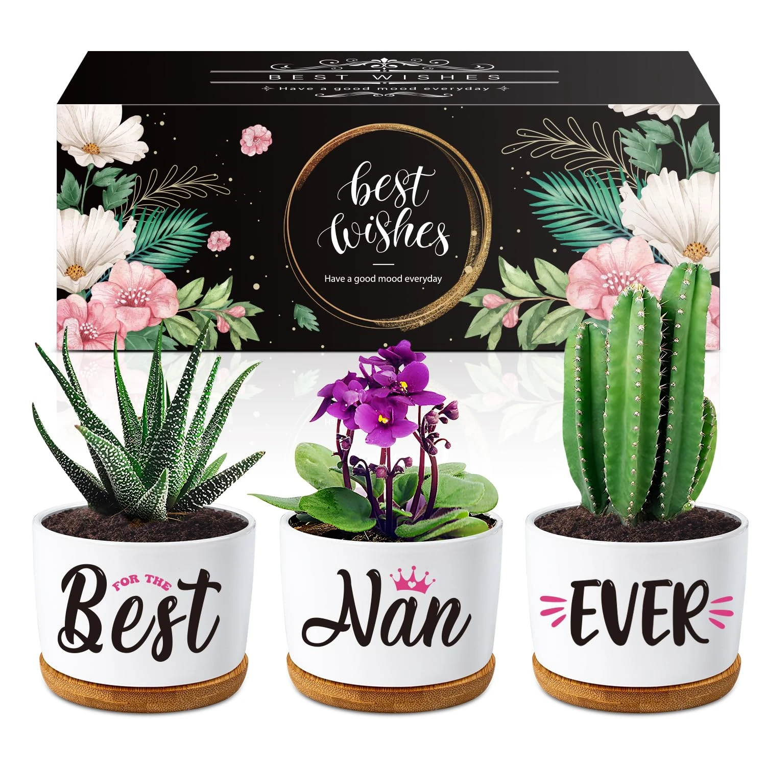 Nana Birthday Gifts for Nan - Succulent Planters Best Nan Ever- Gifts for Nanny on Her Birthday, Presents for Grandma Nana Gran