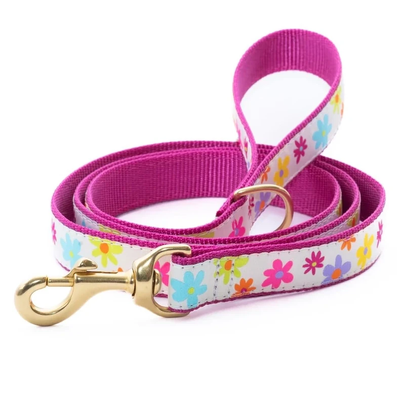 Spring Fever Lead 5 Largo (Width 1) Dog Lead