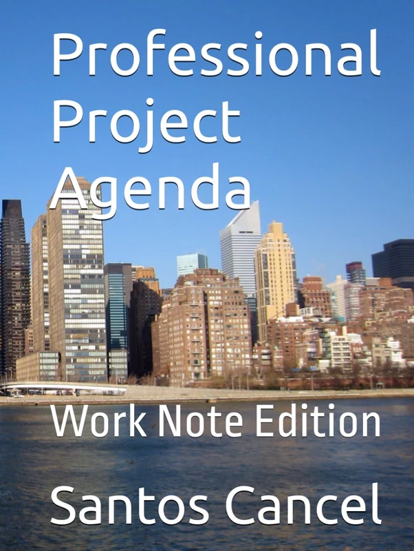 Professional Project Agenda: Work Note Edition