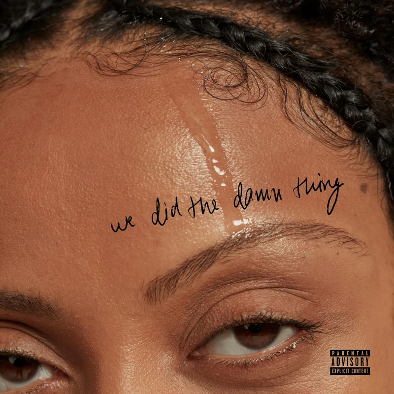 We Did The Damn Thing [Explicit]