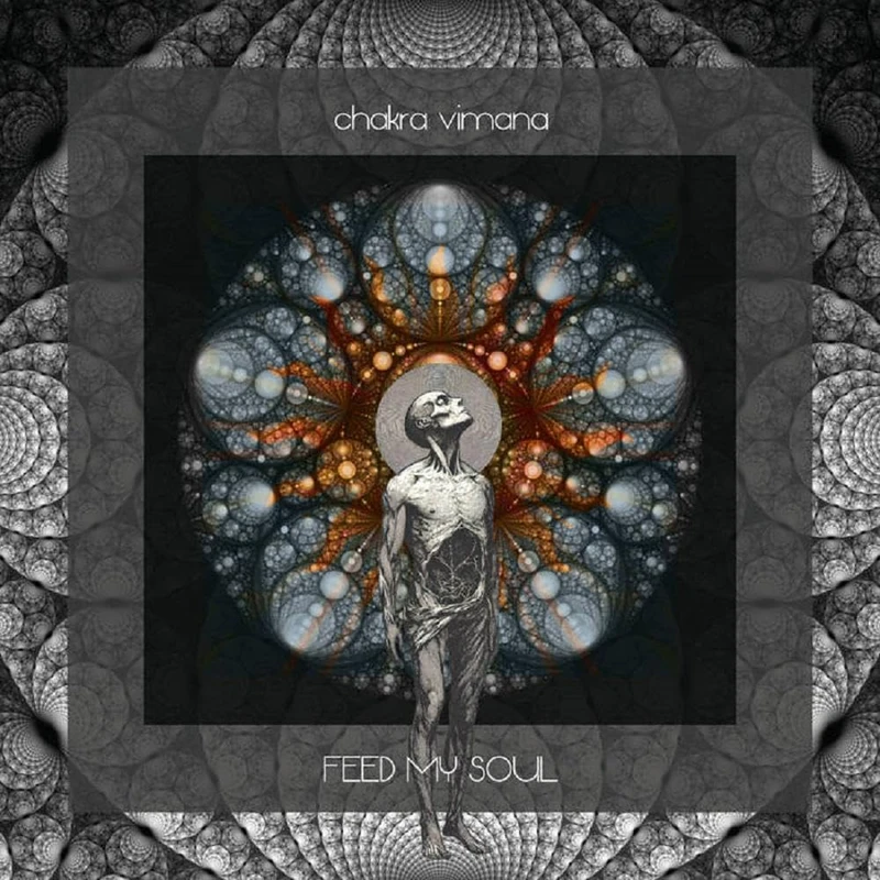 Feed My Soul [VINYL] - Image 1