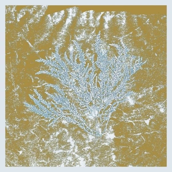 For Those of You Who Have Never (2lp) [VINYL]