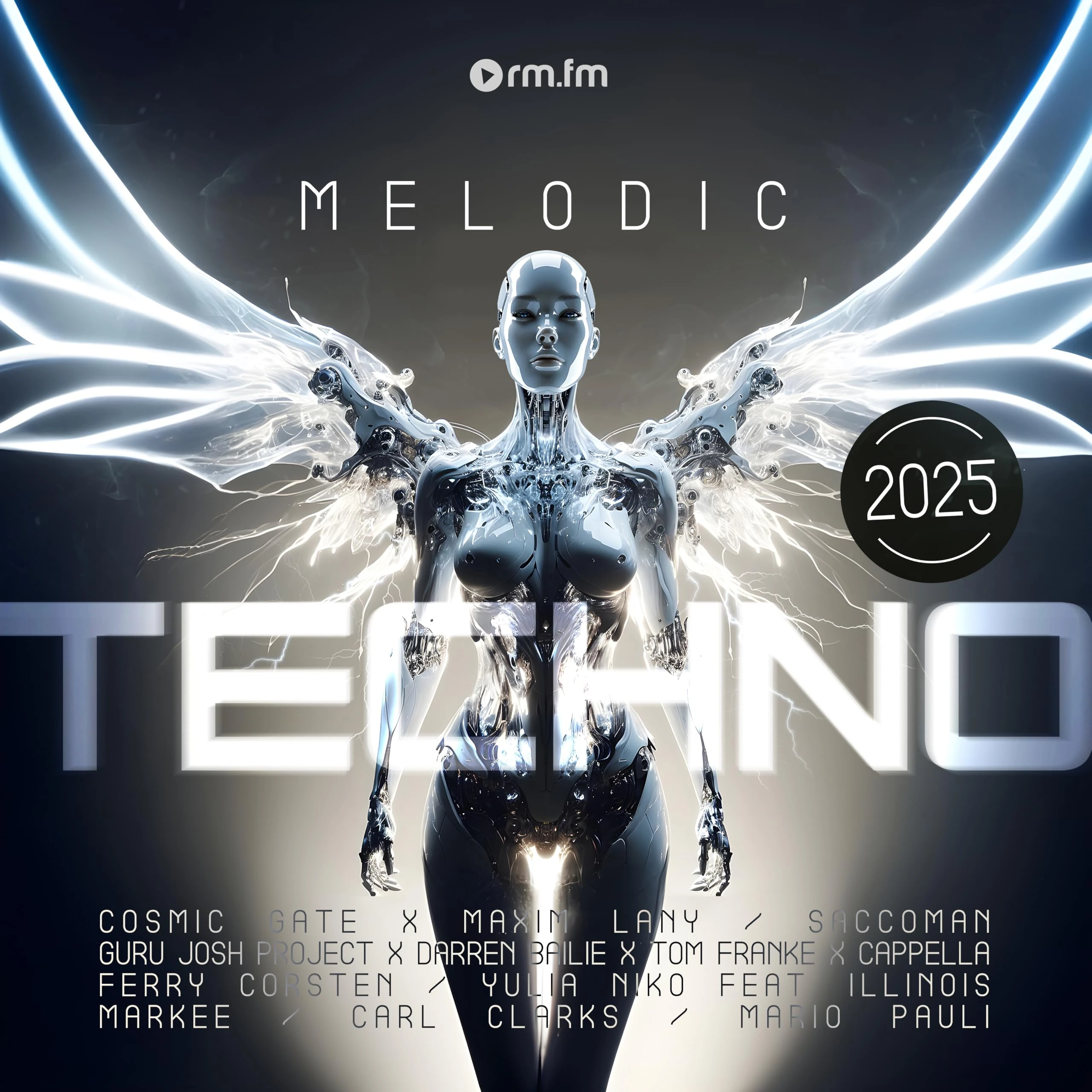 Melodic Techno 2025 [VINYL]