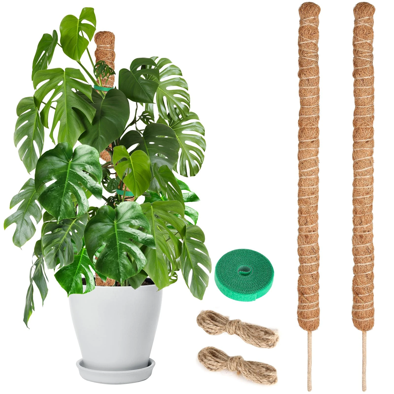 Moss Pole for Monstera, 80CM, 2 Pcs Sticks, Plant Supports for Indoor Plants, for Climbing Vines, Pothos, Potted, Comes with Velcro Tape and Hemp Rope