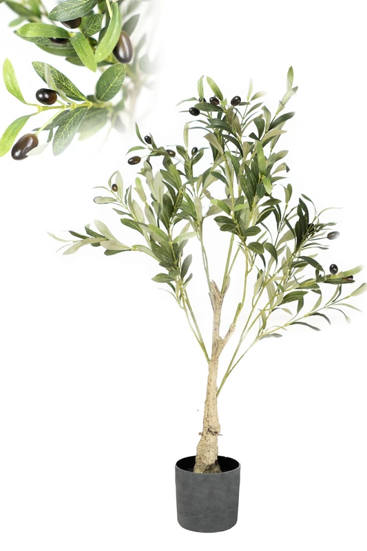 ARBOL Olive