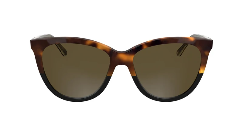 Calvin Klein Women's Sunglasses CK25508S - Havana/Black with Brown Lens