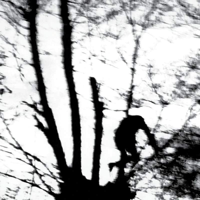 Camouflage Heart [Explicit]